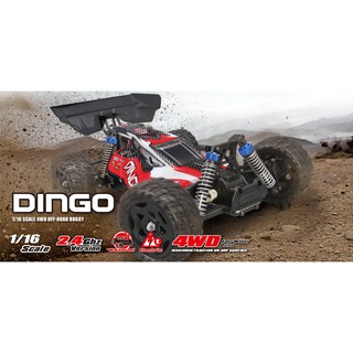 dingo rc car