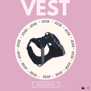 DAKO Pet Vest with Leash | Dog Vest with Leash or Cat Vest with Leash | Dog Vest or Cat Vest #2