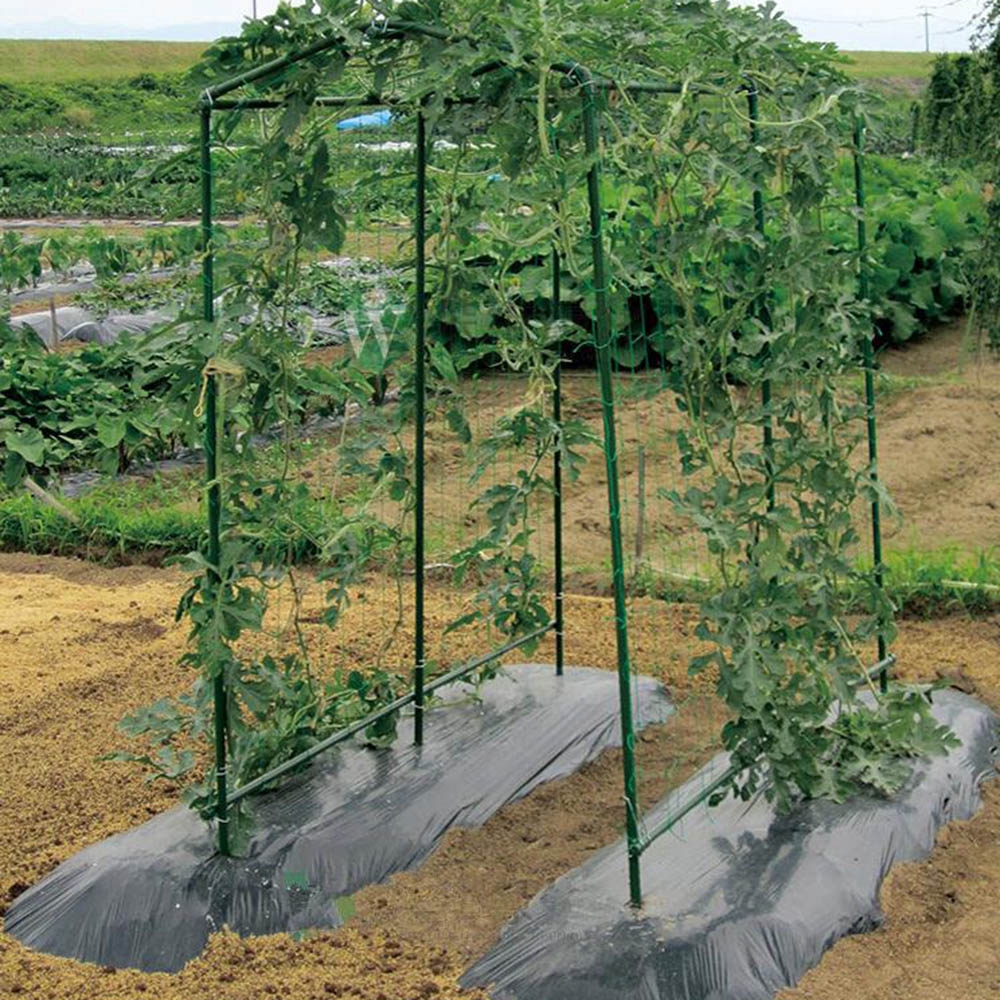 Garden Green Nylon Trellis Netting Support Climbing Bean Plant Net Grow Fence HJ 