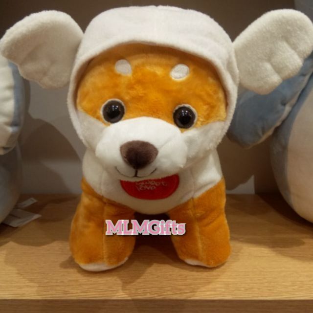 miniso shiba