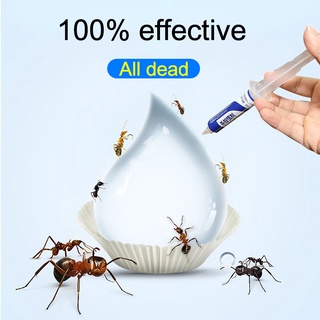 ✅100% effective✅ant killing bait Insect Killer Ant killing bait Gel Termite killer anti anay ant