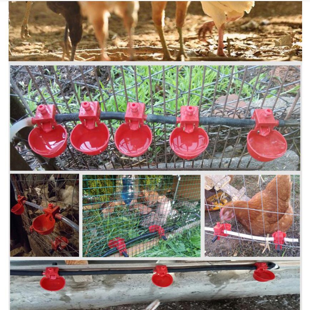 10 Pcs Automatic Chicken Water Cup Waterer Kit Water Dispenser for