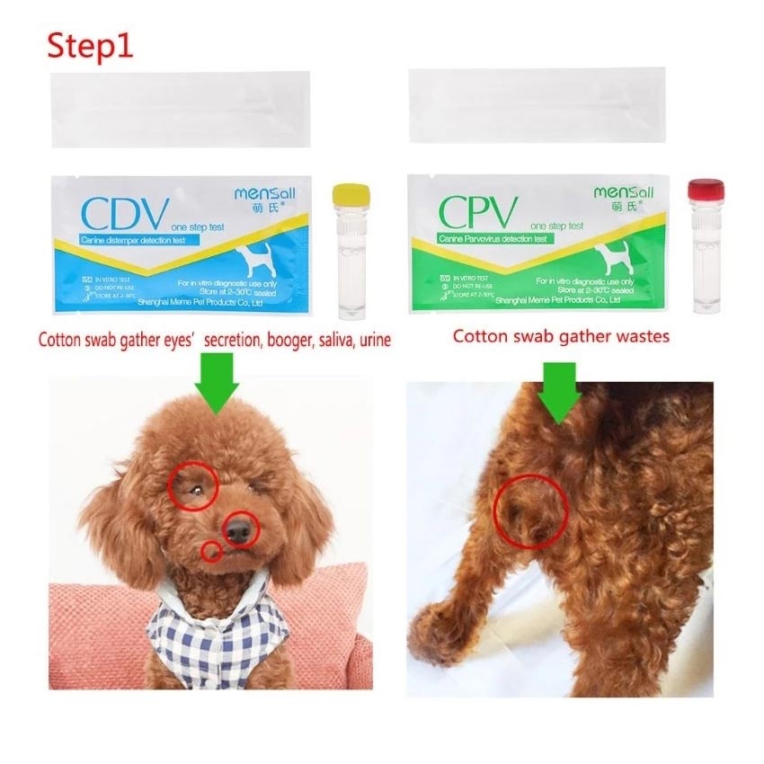 Cpv Test Paper CPV Parvovirus Virus Detection Parvovirus Dog Test Tool