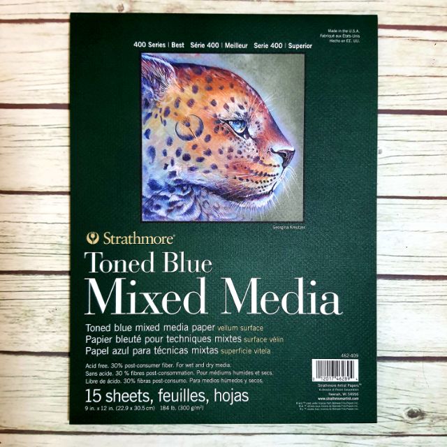 Strathmore Toned Blue Mixed Media Paper Vellum Surface Shopee Philippines