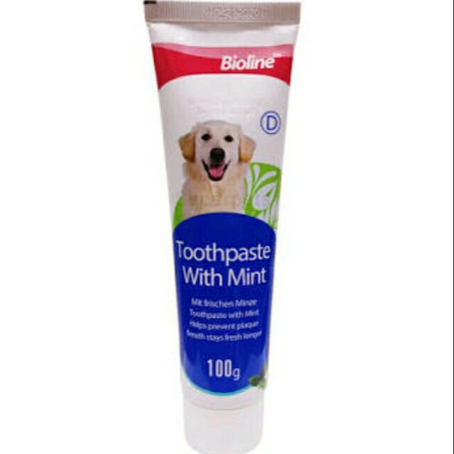 dogs and toothpaste