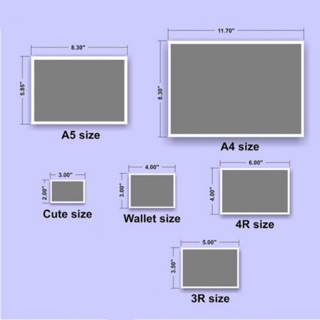Choose The Right Photo Print Sizes for Your Needs