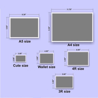 Walmart Wallet Size Photos Dimensions | IUCN Water