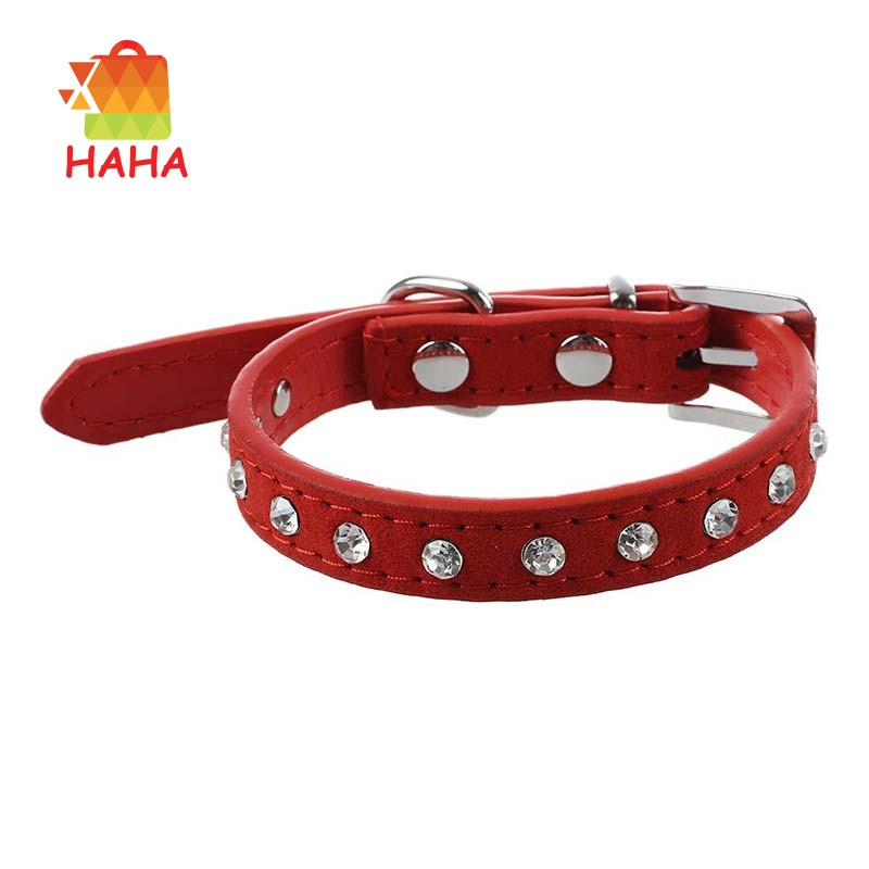 red leather dog collar