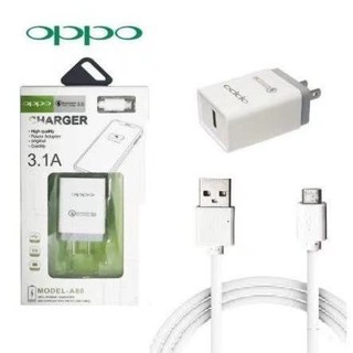 OPPO Fast Charger 3.1A Quick USB Travel Android Micro Free Oppo R11 ...