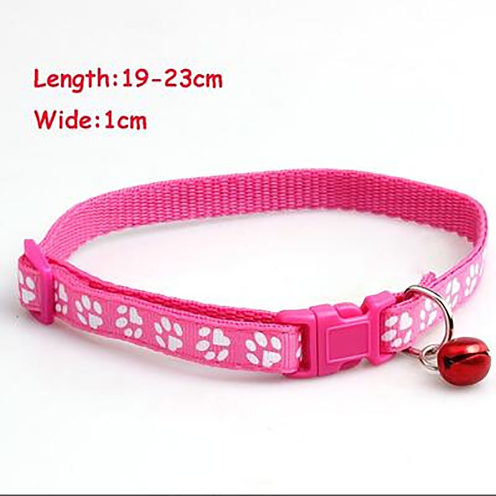 collar pet