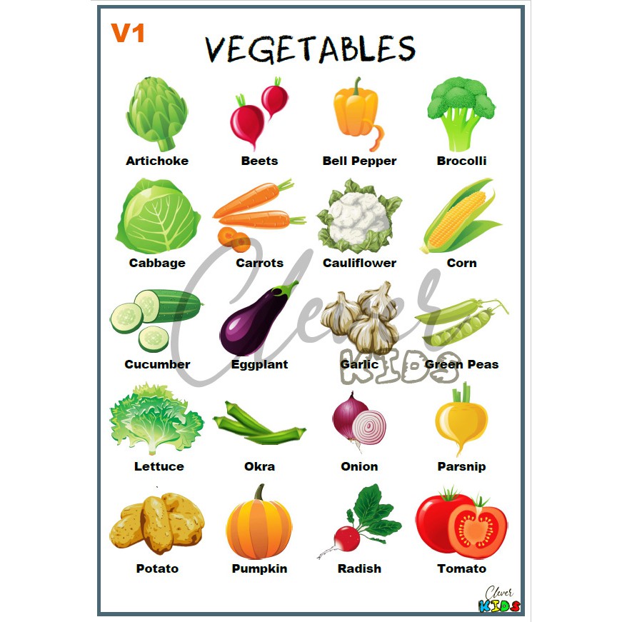 vegetables-a4-size-laminated-educational-wall-chart-f-vrogue-co
