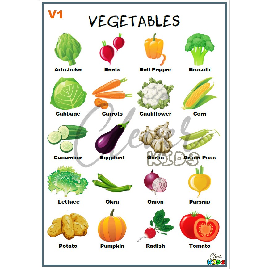 Vegetables Educational Chart A4 Laminated by Clever Kids | Shopee ...