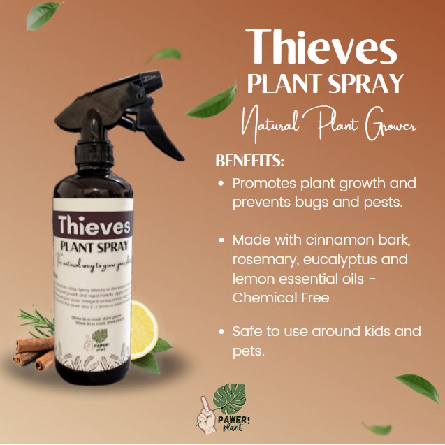 Thieves Plant Spray Infused with Pure Essential Oils