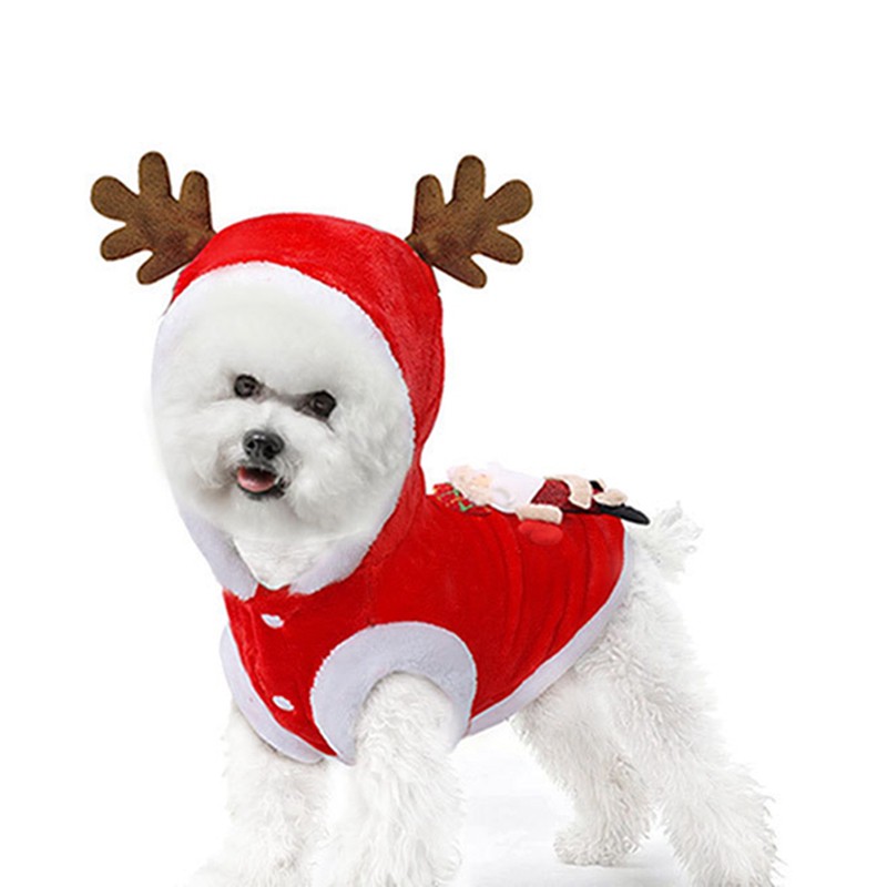dog christmas jacket