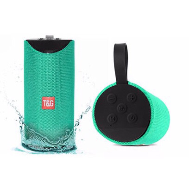 t&g 113 speaker