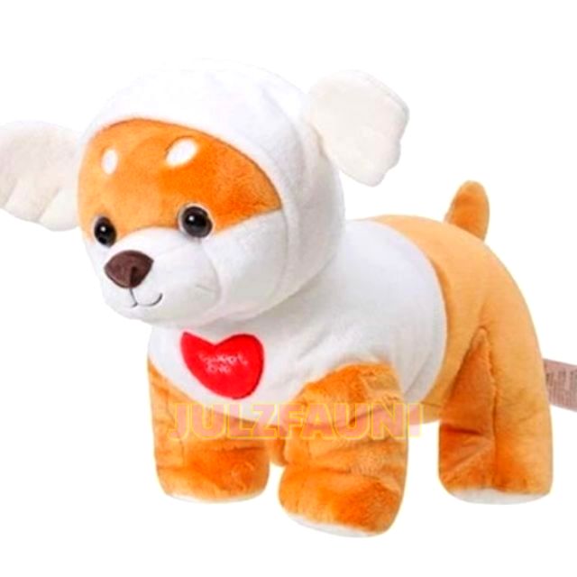 shiba inu miniso