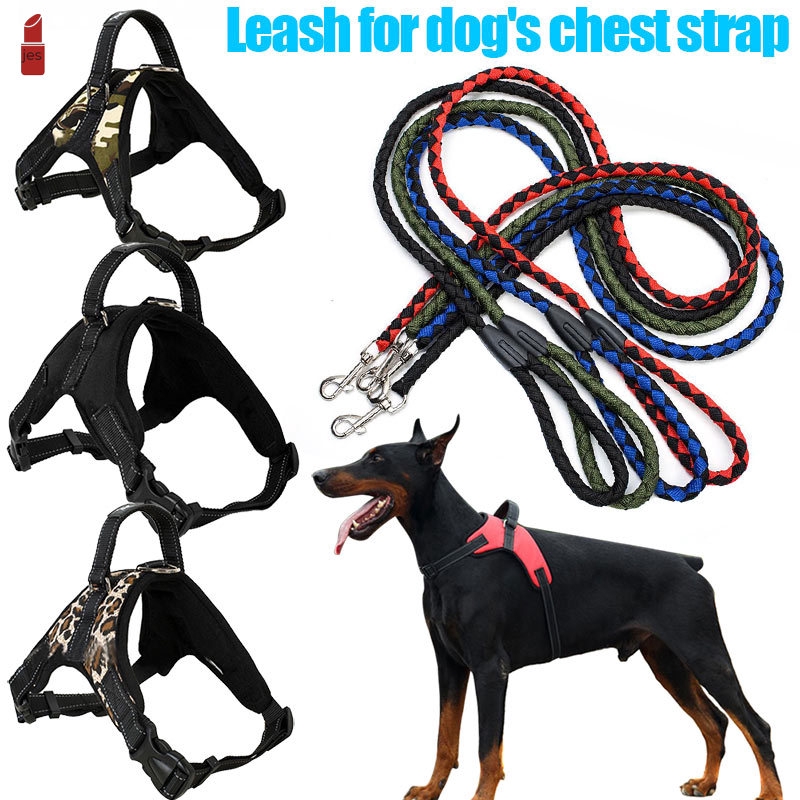 dog strap