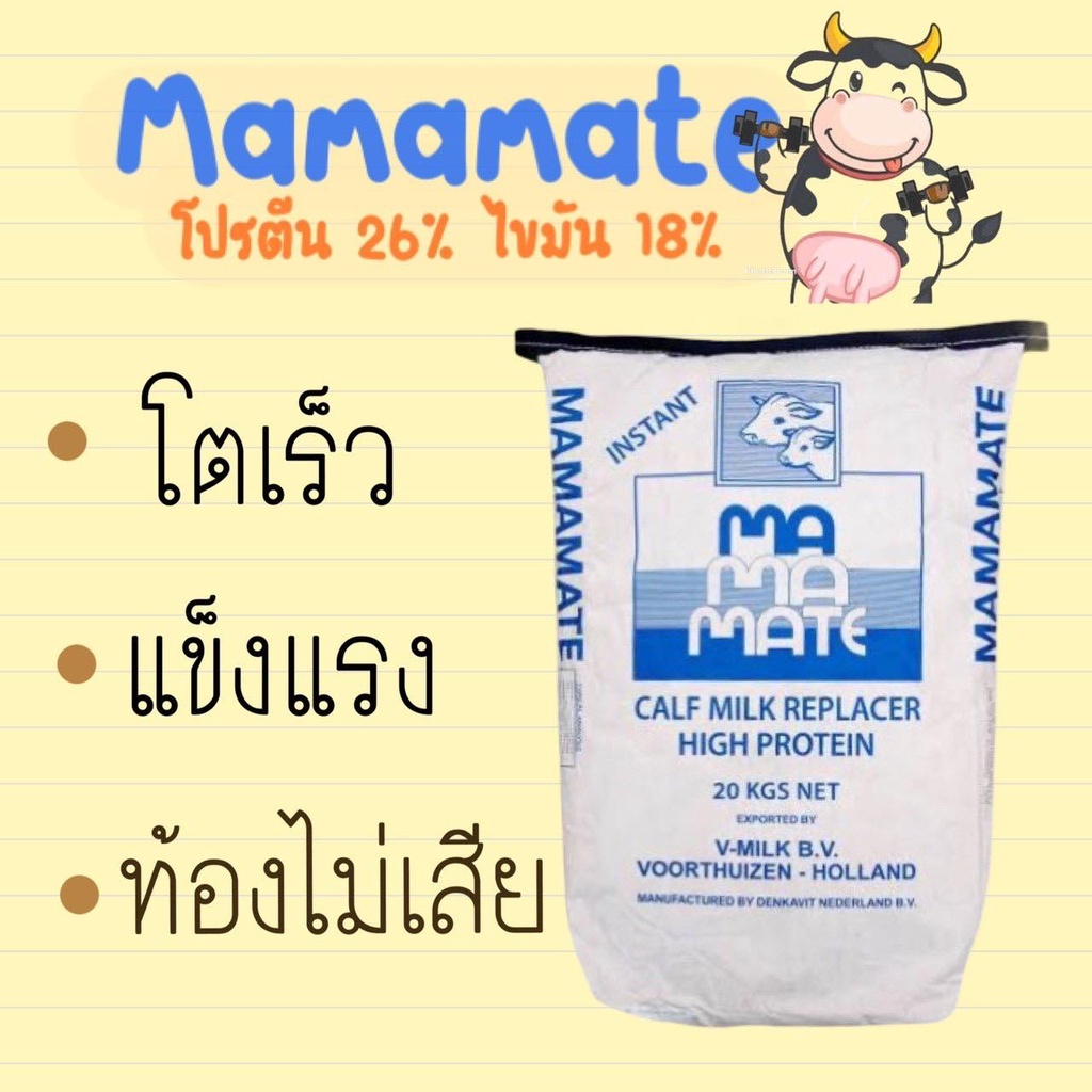 mamamate Milk Powder Animal Feed Cow Calf-Raising Cockroach Cultivated Imported Holland Premium Grade Divided For Sale. #8