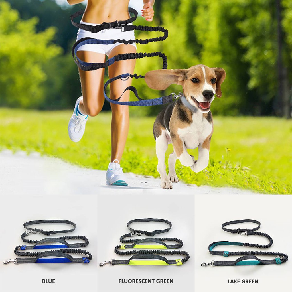 waist lead for dog