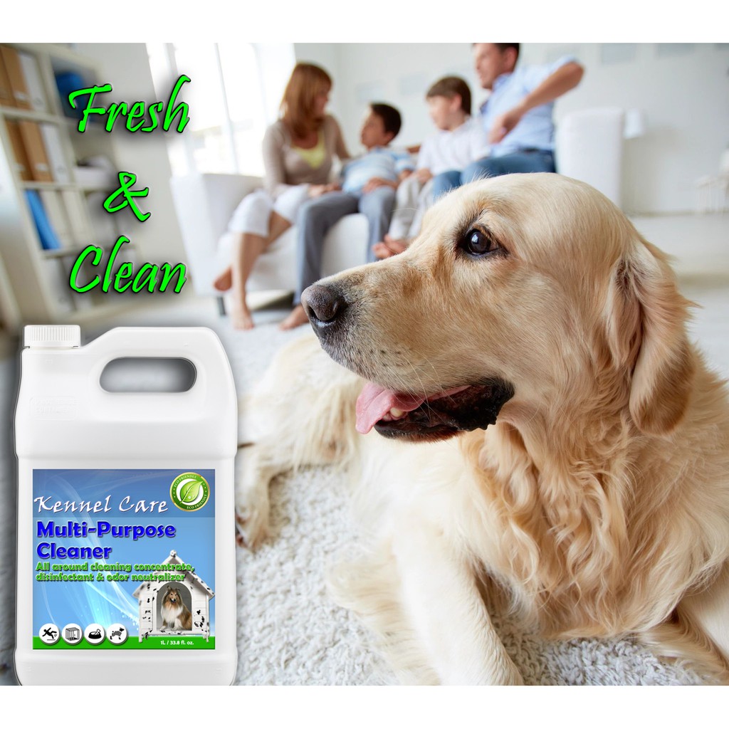 dog cleaner