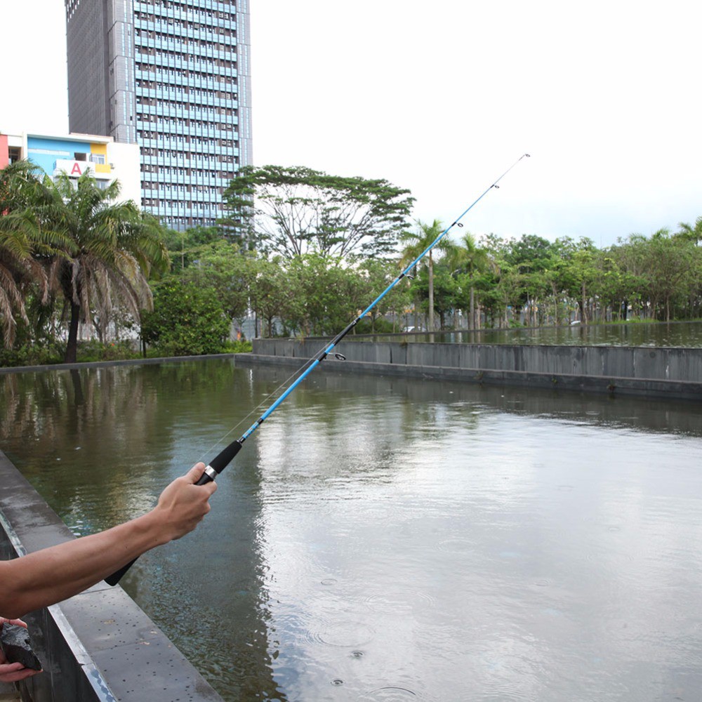 sea fishing rods for sale