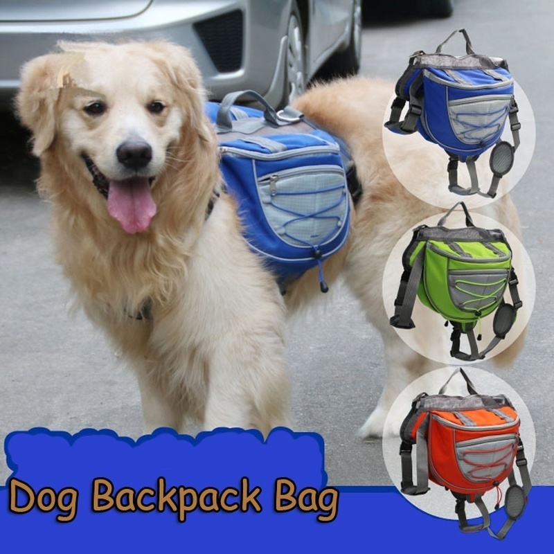 golden retriever backpack