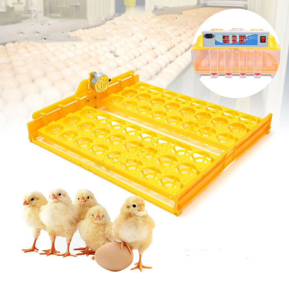 144 Quail Egg Turner Tray – Automatic 110V 1/240RPM – For Incubators (Not Incubator, Just Turner)