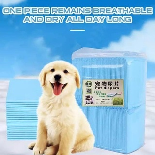 Pet Dog Cat Puppy Training UnderPad Small Placemat Dog Cat Urinal