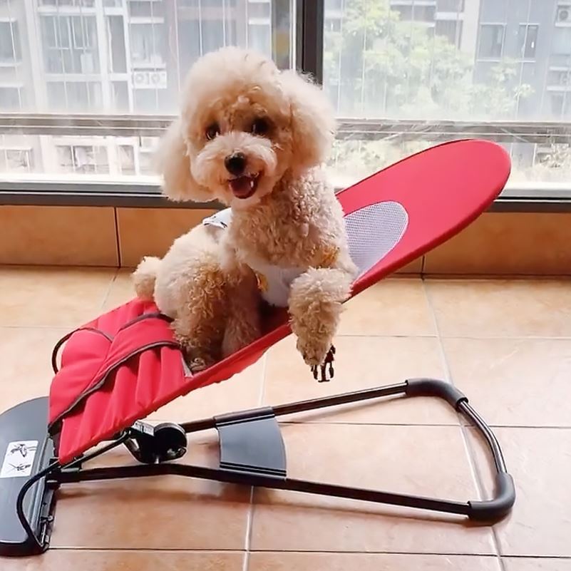 Beds Dog Pet Rocking Chair Cradle Teddy/French Bulldog Dedicated