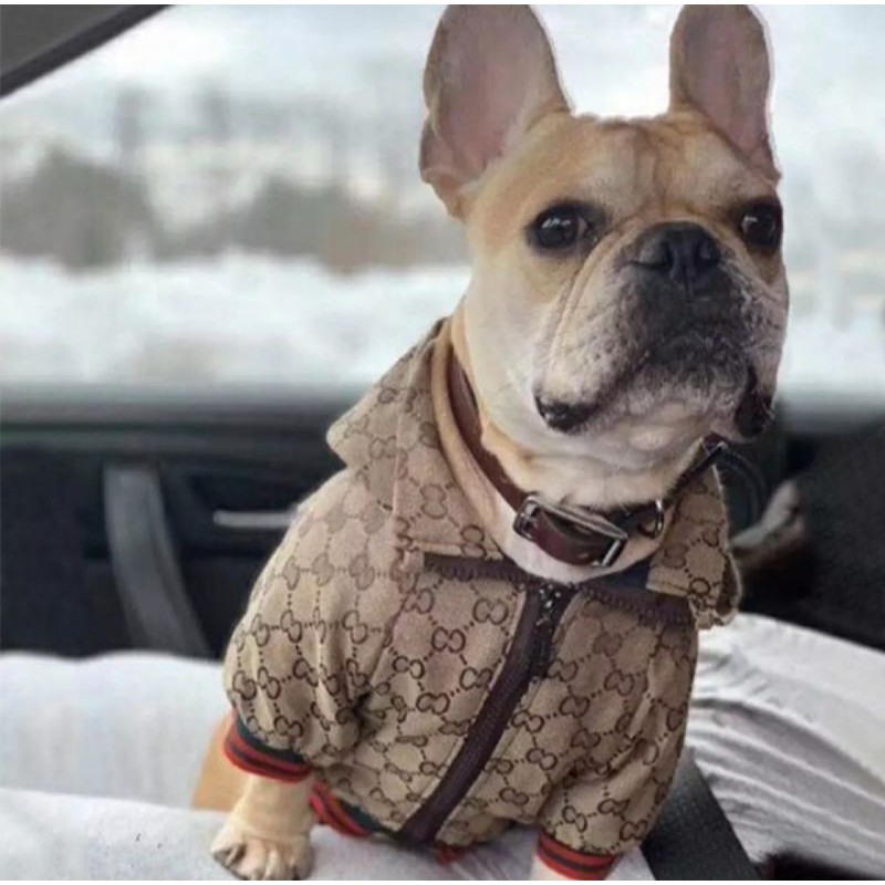 Beige Classic Gucci Inspired Jacket for Dogs and Cats