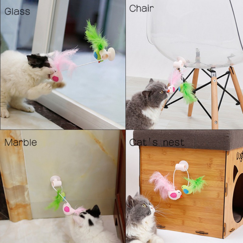 Pet Feather Teaser Wand Sucker Window Cat Toy Shopee