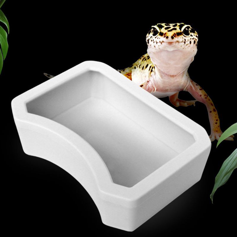 Reptile Feeder Water Food Feeding Plastic Bowl 3 Size Turtle Lizard Snake Basin #1