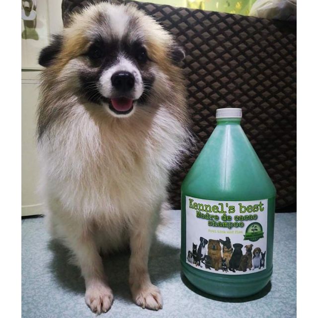 100Madre de cacao dog shampoo 1gallon(3.4L) Shopee Philippines