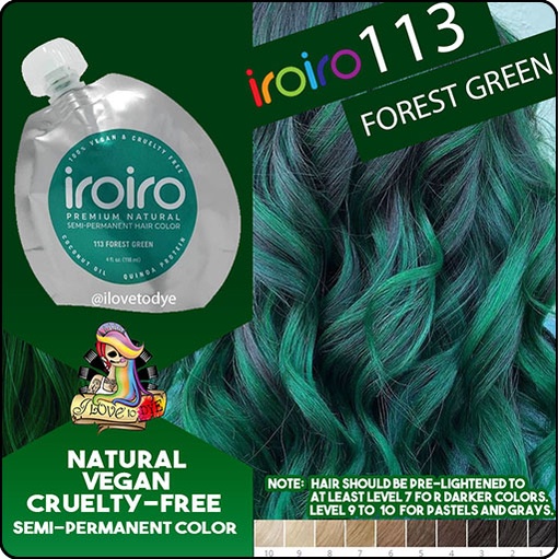 Iroiro 113 Forest Green Natural Vegan Cruelty-Free Semi-Permanent Hair Color  | Shopee Philippines