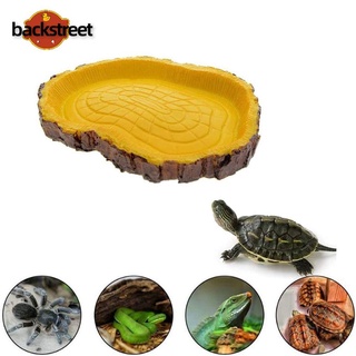BACKSTREET Practical Snake Feeder Resin Feeding Bowl Vivarium Water Dish Reptile Durable Tortoise Gecko Food