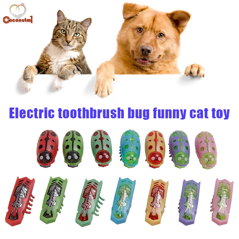 bug toys that move