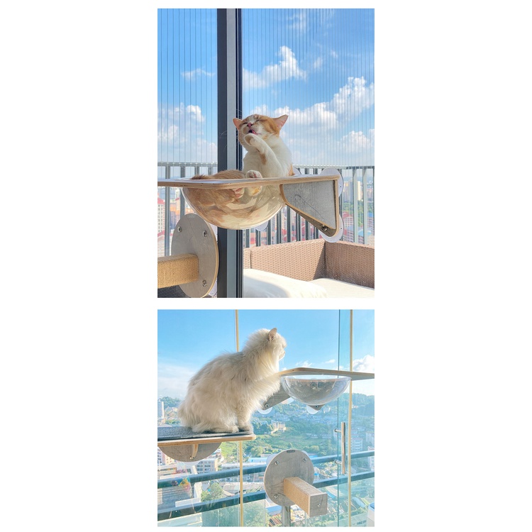 Cat Climbing Ladder Universal Suction Cup Frame Creative Combined Acrylic Litter Sightseeing Hanging Window Jumping Platform High Place Tourism Landsca #9