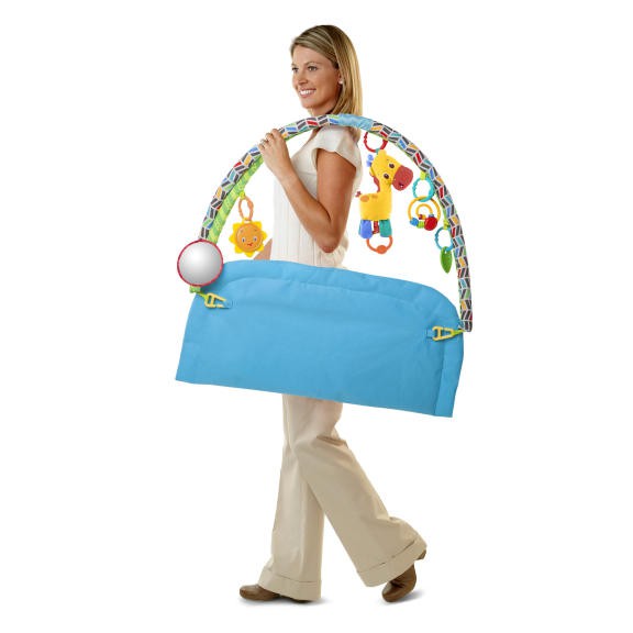 bright starts zippy zoo activity gym