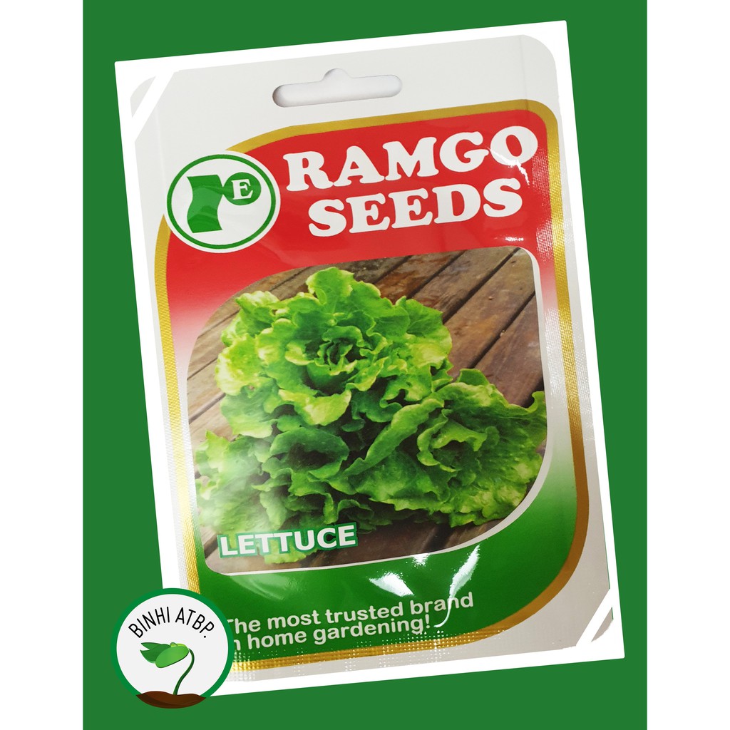Ramgo Lettuce Leafy Green Eton Seeds Shopee Philippines