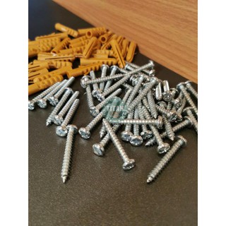 100 SETS - Metal Screw with Tox #6, #8, #10 | Shopee Philippines