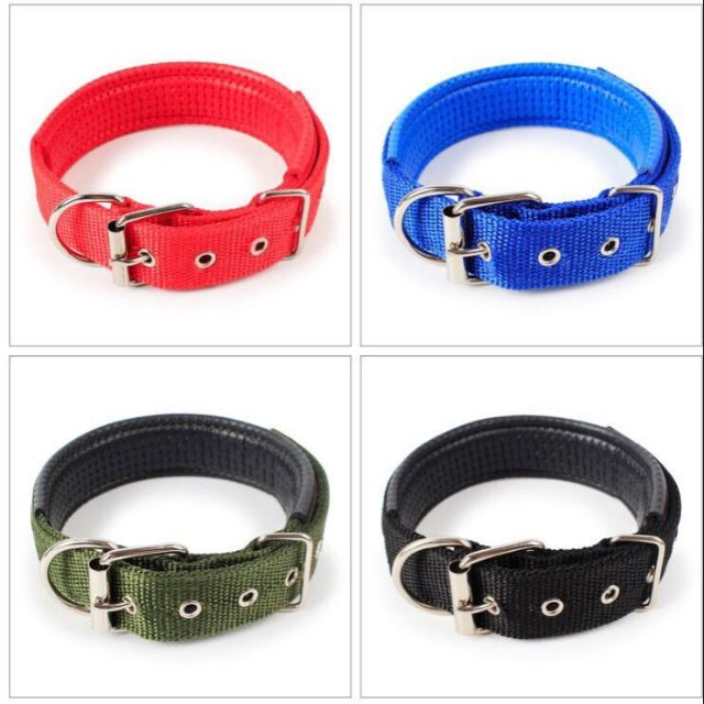 buckle dog collars