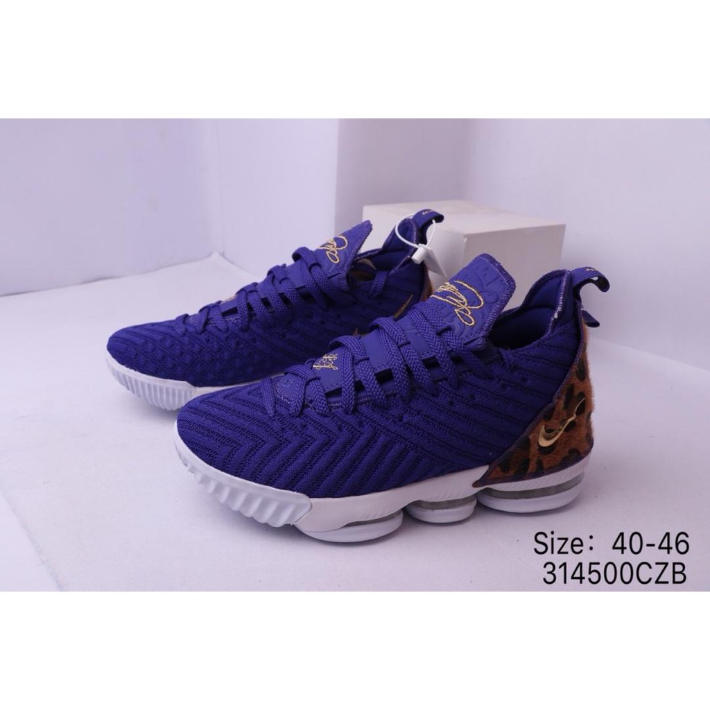 lebron shoes purple