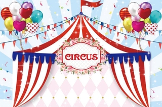 Newborn Kids Circus Theme Birthday Party Backdrop Circus Photography Portrait Carnival Baby Shower Photo Shoot Props #6