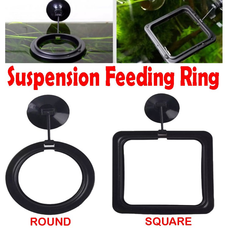 Aquarium Fish Tank FixedPoint Suspension Feeding Ring Goldfish