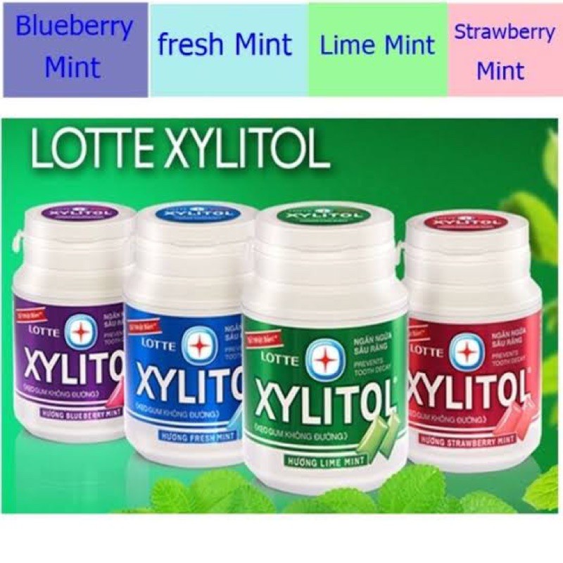 LOTTE Japan Xylitol Gum Fresh Mint Shopee Philippines