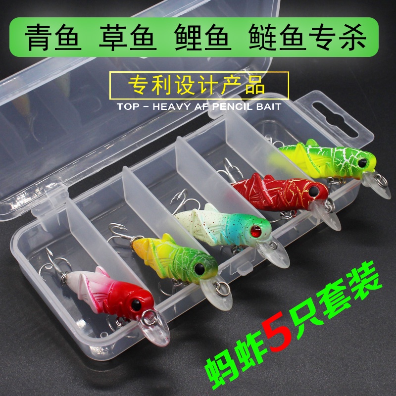 Universal Lure bait grasshopper grasshopper cricket insects mainly ...