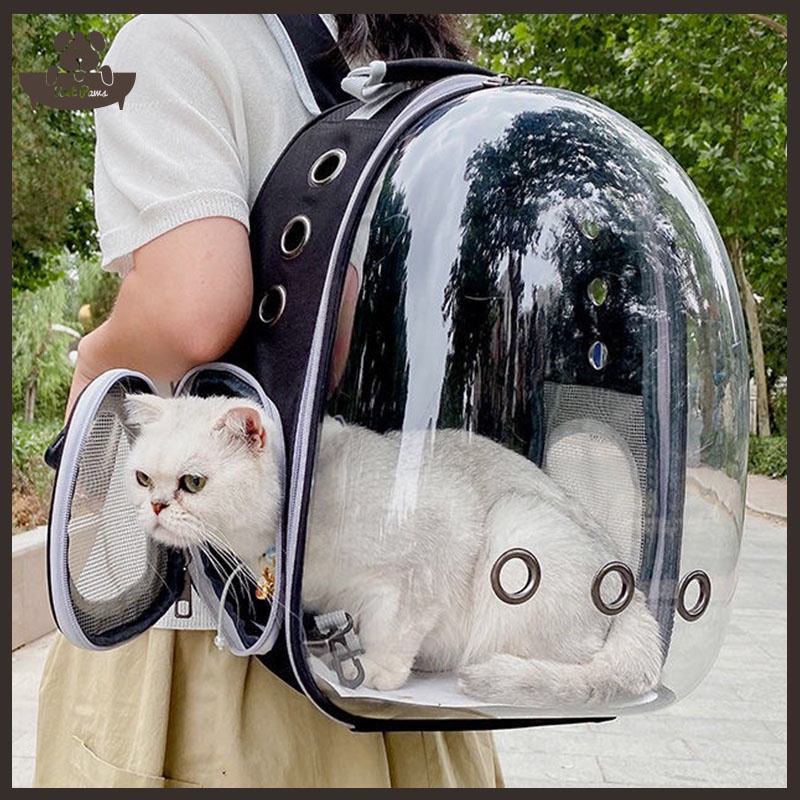 bag for cats