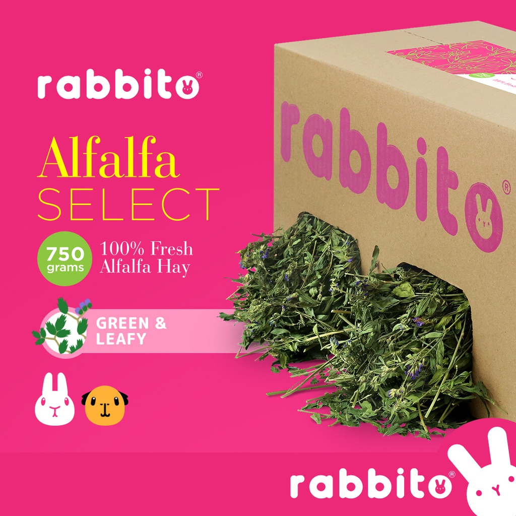 Rabbito ALFALFA SELECT Premium Alfalfa Hay 750g for rabbits, guinea