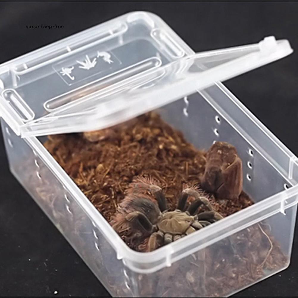 Spp Transparent Plastic Amphibian Insect Reptile Breeding Box Transport 