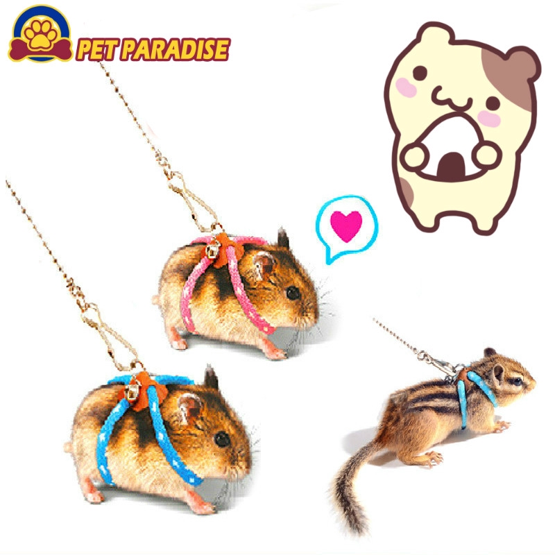 Dwarf hamster hot sale harness